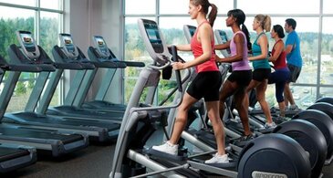 loopband_vs_crosstrainer