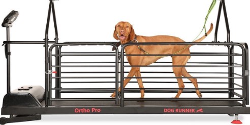 Hond loopband