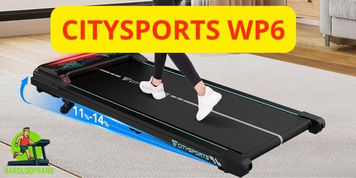 CITYSPORTS WP6